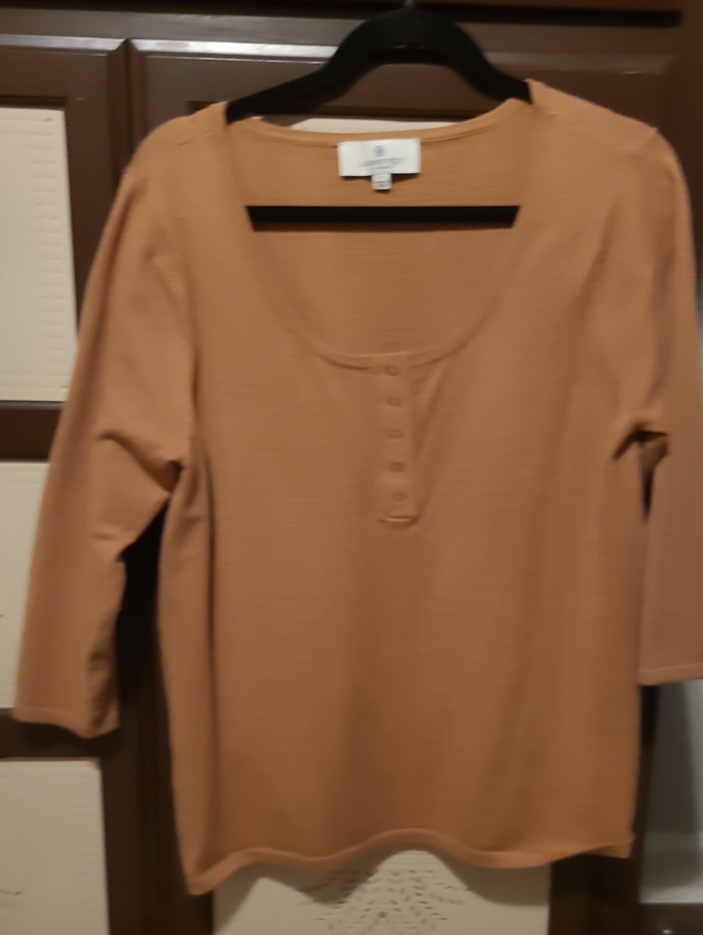 Laurie Felt Women’s Tunic Top in Camel Brown